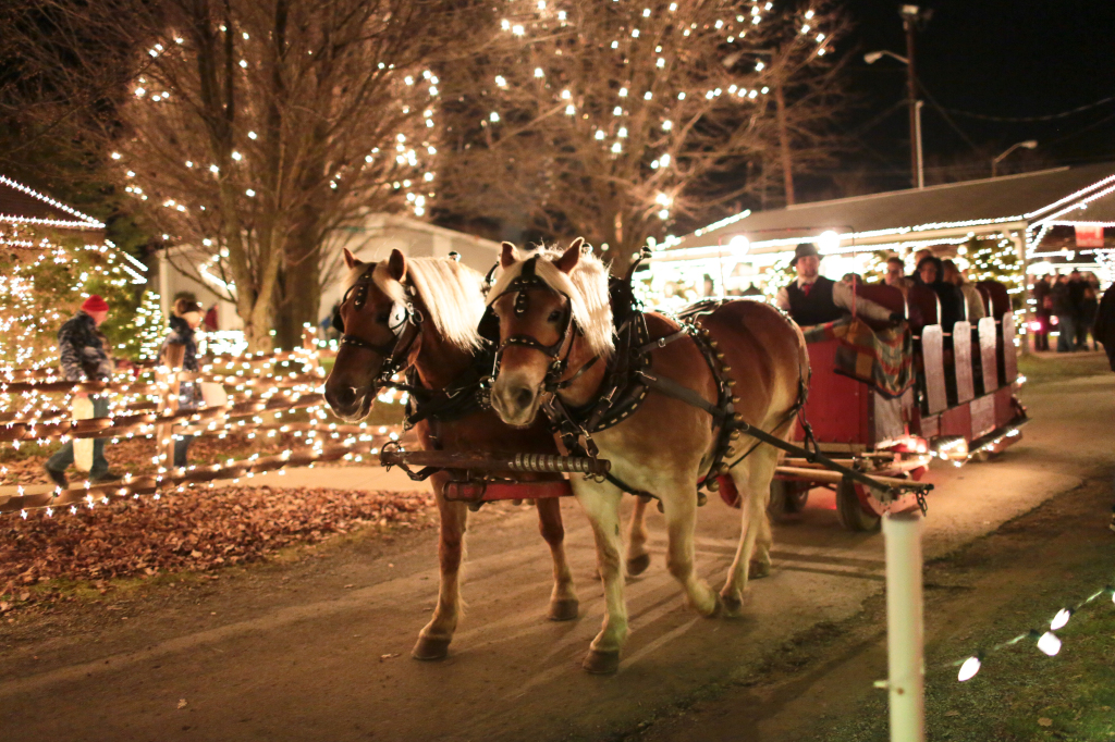 Horse drawn wagon ride at Overly's Country Christmas, Photo courtesy of Overly's