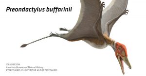 The Preondactylus is one species of pterosaurus sweeping into the Carnegie. 