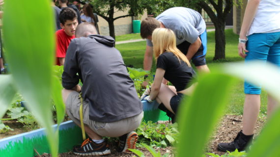Students at Colfax Elementary School work in their STEAM garden.