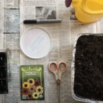 Maker Monday: Kids will love starting seeds on their own