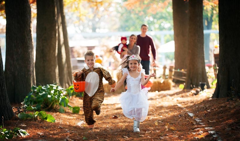 Map shows off Pittsburgh-area homes with spooky Halloween decorations - CBS  Pittsburgh